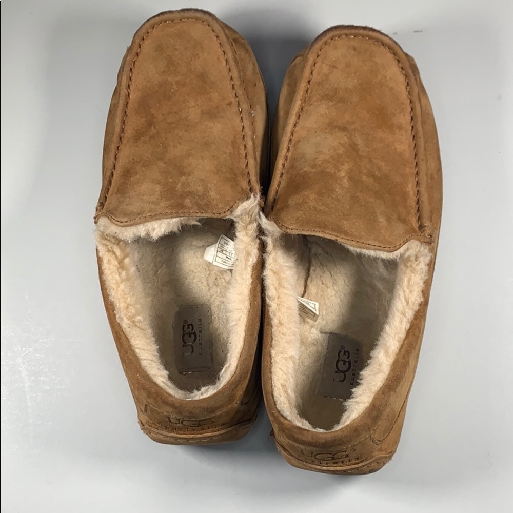 Mens ugg slippers